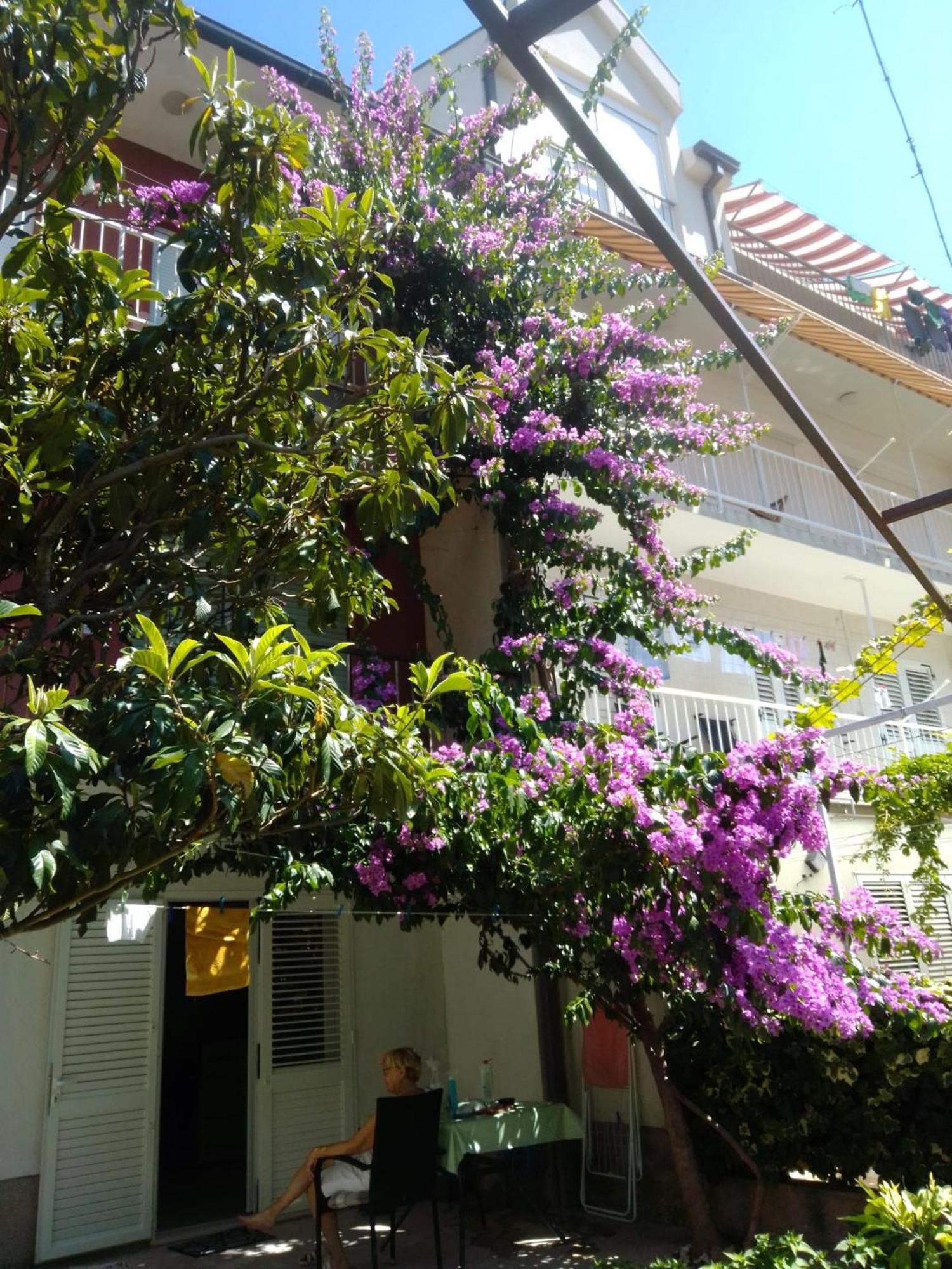 Apartment Andelka Omiš Exteriér fotografie